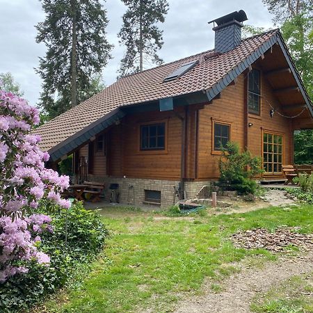 Waldhaus Eichhoernchen Bad Schmiedeberg Extérieur photo