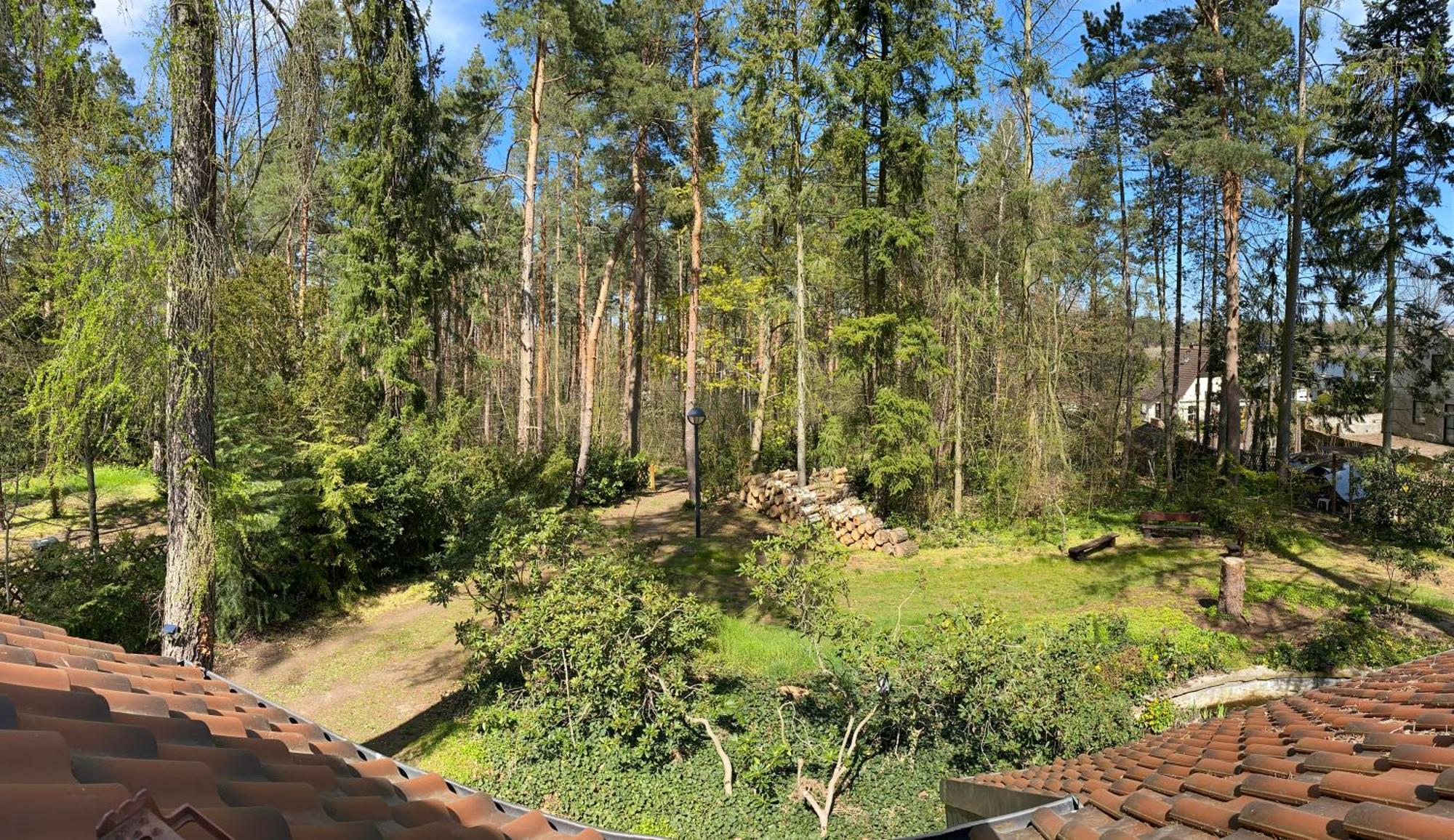 Waldhaus Eichhoernchen Bad Schmiedeberg Extérieur photo