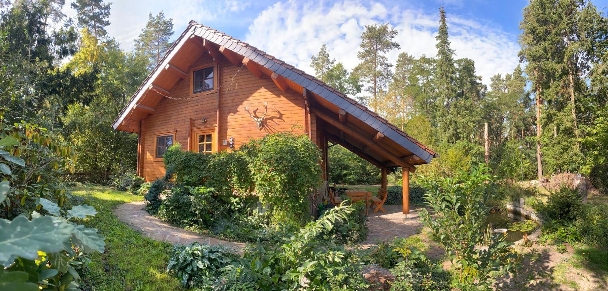 Waldhaus Eichhoernchen Bad Schmiedeberg Extérieur photo