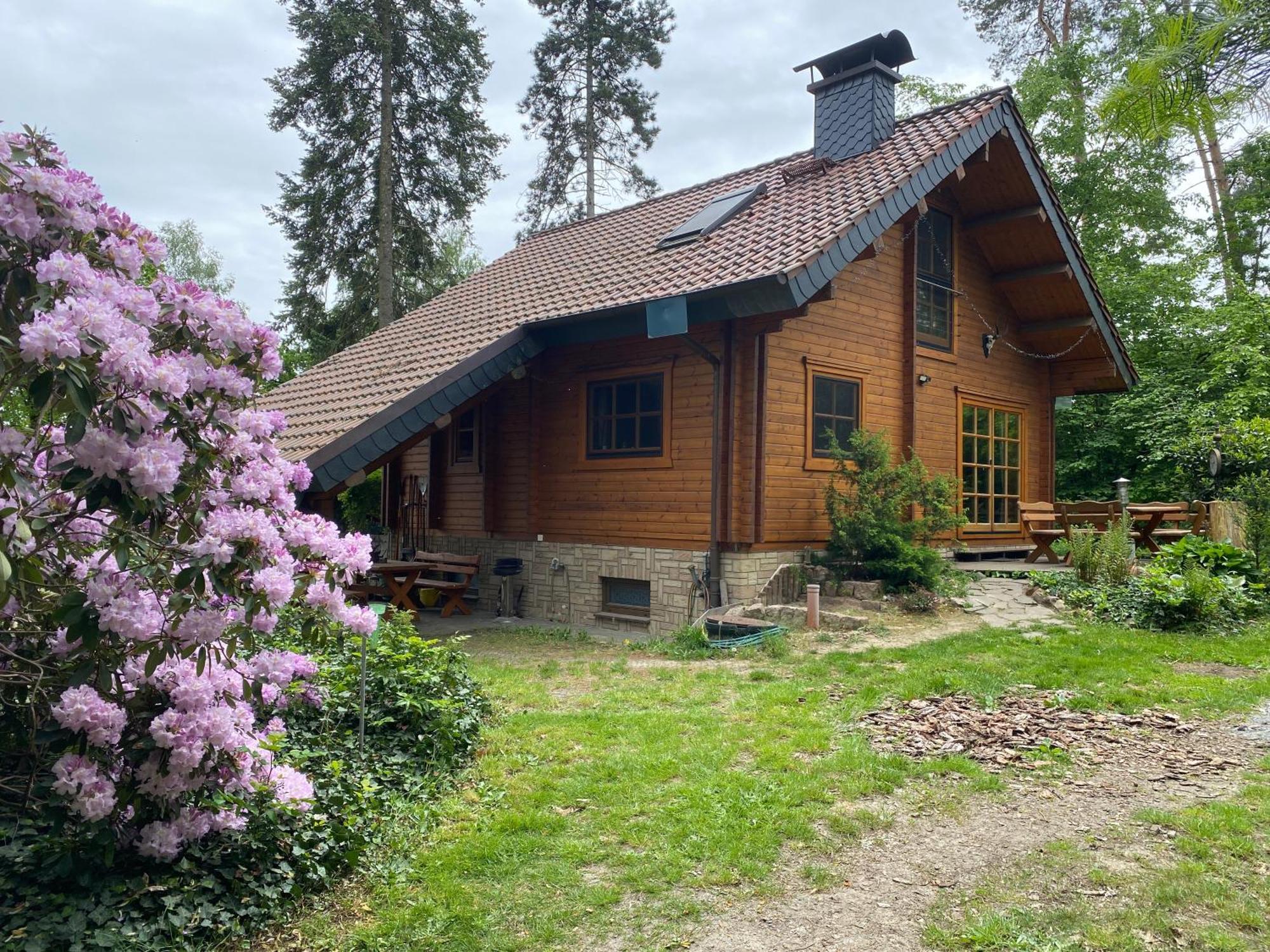 Waldhaus Eichhoernchen Bad Schmiedeberg Extérieur photo